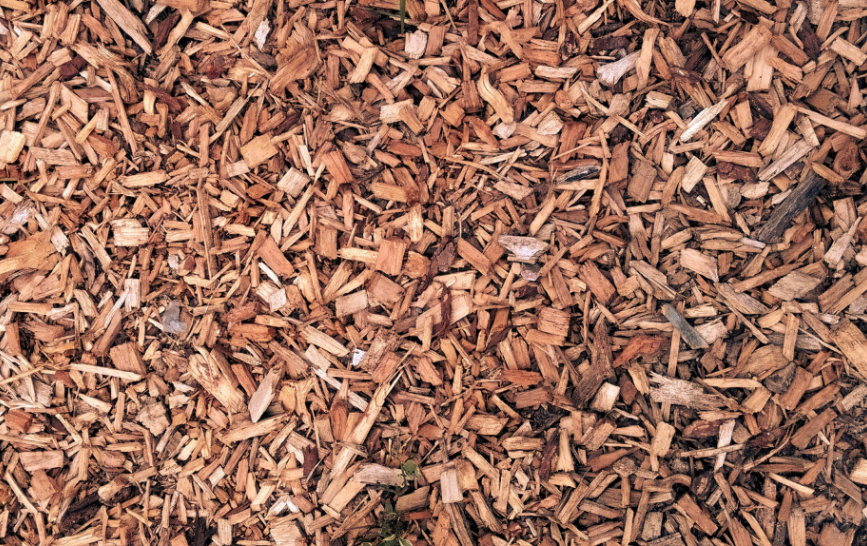 A longer shelf life for household staples